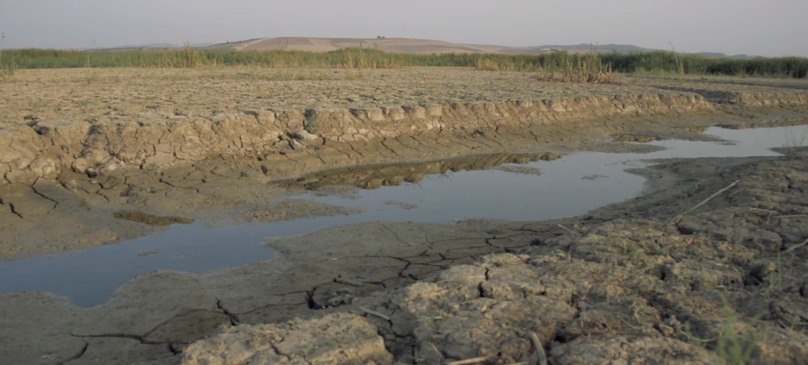 Water Growth and Stability