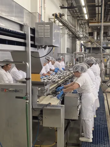Production process in Sardina doo Brač, Croatia (May 2026)